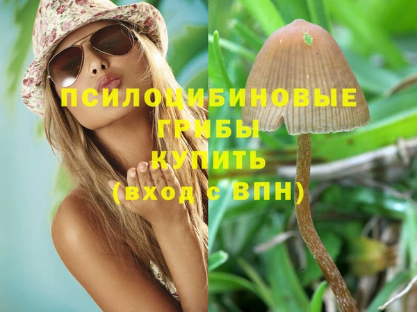 МДМА Беломорск