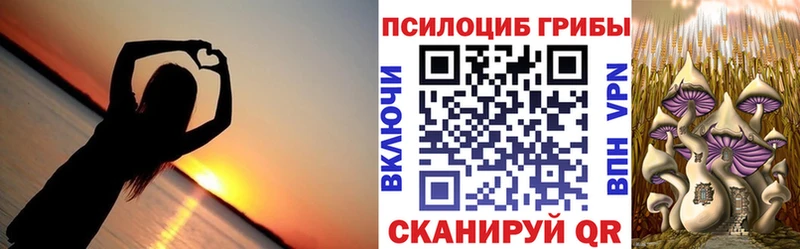 дарк нет наркотические препараты  Кодинск  Псилоцибиновые грибы Psilocybe  хочу   гидра как зайти 